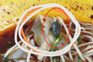 梦见自己吃瓜吃着虫子,瓜中虫子引发的奇幻体验